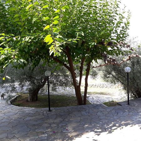 Σπίτι Σε Ελαιώνα, House In An Olive Grove Leilighet Ária Eksteriør bilde