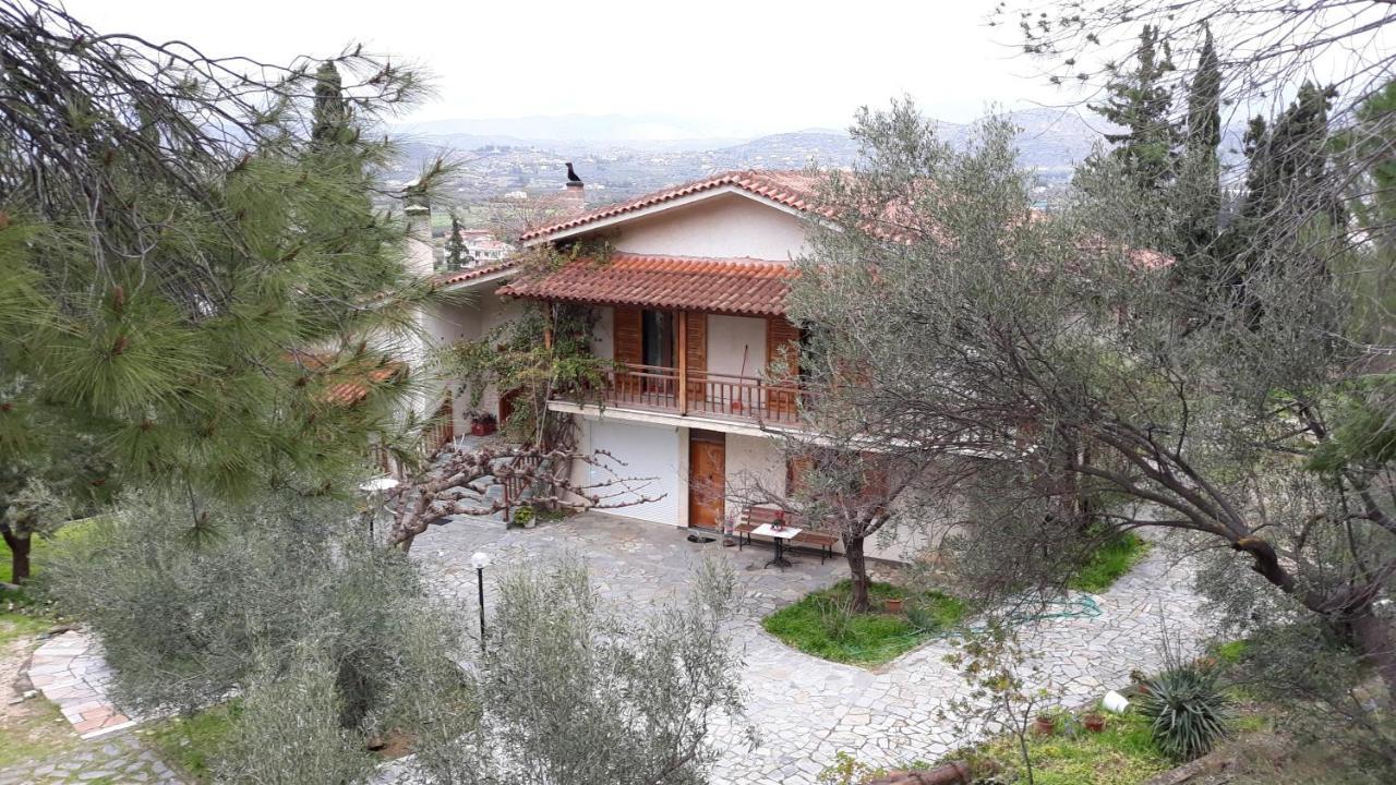Σπίτι Σε Ελαιώνα, House In An Olive Grove Leilighet Ária Eksteriør bilde